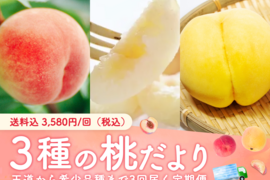 【300セット限定販売】3種の桃だより（食べチョク公式）