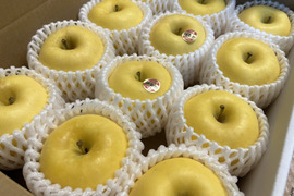 【完熟】はるか　約3kg　(7〜12個)