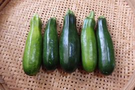 【自然栽培】ズッキーニ（お徳用1.2kg）