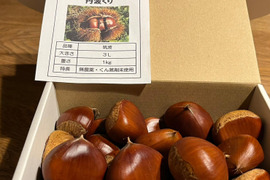 出ました！丹波栗【リーズナブルな２Lサイズ】ご家庭に、秋のひとときを～（農薬不使用・くん蒸剤使用せず！）１kg