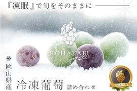 【冷眠】で旬をそのままに！
晴れの国岡山県産
冷凍ぶどう詰め合わせ120g×4Ｐ