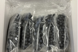 観光農園の冷凍ブルーベリー　1kg（200g×5P，　訳あり品）