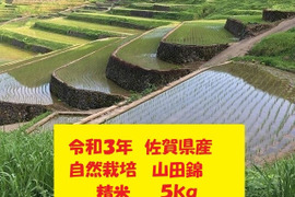 【新米】自然栽培!佐賀県産!「山田錦」精米5kg令和3年産