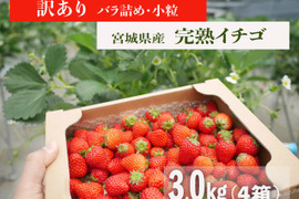 【訳あり特価】ジャム加工におすすめ！宮城県産 小粒イチゴ 3kg(計4箱)