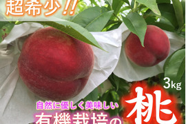 【有機栽培の美味しい桃『日川白鳳』約3kg】自然に優しく希少でジューシーな天然桃(9～11個入)！