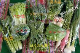 ご近所さんとシェアセット★農園自慢の情熱野菜セット　14袋　フードロス対策　パチャママ農園