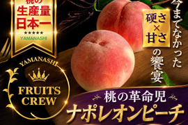 🍑日テレニノさんで話題沸騰🍑『幻のナポレオンピーチ』今回逃すと1年待ちの最高級希少桃！【夏ギフト】硬め×甘さの饗宴今までの桃の常識を覆す革命児！シャキ桃約1.5キロ【朝どれ】【贈答用】【8月上旬予約】