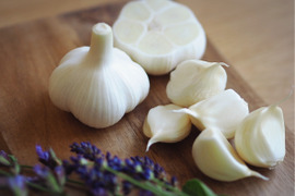 素揚げが大好評！田子町産にんにく【Ｌサイズ】10玉【7月中旬以降お届け】