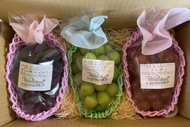 【先行予約】【9月中旬からお届け:1kg以上！】シャインマスカット&おまかせ品種詰め合わせ 1.5kg箱