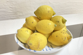 期間限定！国産レモン(B品5kg)