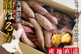 【茨城県産】さつまいも　紅はるか サイズ中【約2kg】※農薬・化学肥料不使用