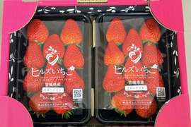 宮城県産【完熟の香り高いスターナイト】250ｇ×2ｐ入り