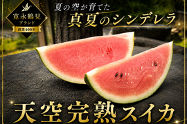 【最高糖度15度超え】夏のほんのわずかな期間しか手に入らない🍉天空栽培が生んだ唯一無二の果実『天空完熟スイカ』🍉寛永鶴見ブランド【朝どれ】【限定50玉】【7月中旬予約】