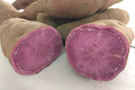 1.5kg⭐️訳あり⭐️紫芋⭐️パープルスイートロード