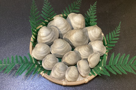 【10セット限定】村政丸スペシャル ホンビノス貝　極み