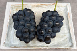 ◯完売御礼◯【秀】ナガノパープル　1kg/2~3房