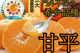 🍊入手困難な希少柑橘🍊柑橘王国だけが育てることを許された“本物の甘さ”『甘平』大容量パッケージ約3㎏