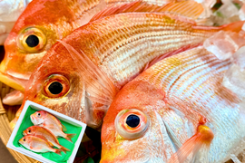 【焼き・煮付けに】ふっくら澄んだ旨みのレンコダイ（３kg）