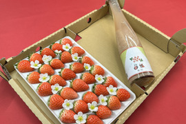 【子どもが喜ぶ夏イチゴ】と【濃厚!! 夏イチゴの甘酒『苺姫 無垢』】のセット!!  【ご自宅用】