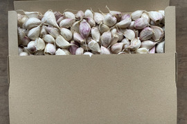 ニンニク900g