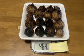 13 自然栽培　黒にんにく やわらかめ　サイズいろいろ　たっぷり16個　令和4年度新物　食べやすくて美味しい