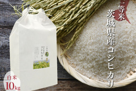 令和4年 噛めば噛むほど旨味がでてくる茨城県産コシヒカリ 白米【一等米】【10kg】