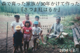 ゆうすい町の森で育った家族がきょうだいで会社を作り、ストーリー溢れる【おいしい紅はるか】が出来ました。熟成完了！ML品　10ｋｇ　【さつま紅はるか】　そのやま農園