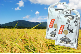 新潟県弥彦村石井農園　令和7年産コシヒカリ【玄米 10kg】