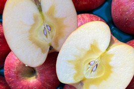 生玉農園一番人気の美味しいりんご！ 家庭用 信州りんご🍎 葉とらず サンふじ 5キロ箱 13～18玉