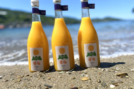 【夏ギフト】清見タンゴール100%ストレートジュース　720ml（1本入り）