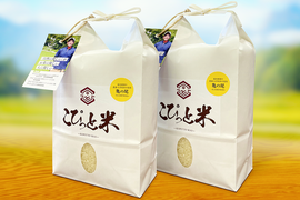 【令和7年産・新米】栽培期間中農薬不使用【亀の尾】白米・4kg　あっさりとした上品な味わい　こぴっと米