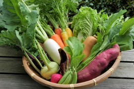 但馬の旬をお届け!採れたて野菜セットS【4~5種類】(60サイズ)