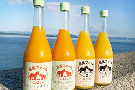 【飲み比べセット】カラマンダリン&伊予柑　果汁100%ストレートジュース 　720ml×4本セット