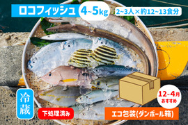 下処理⇒即日発送！ロコフィッシュ鮮魚ボックス4~5kg【発泡スチロール箱】