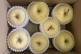 ～🍎青森りんごを直送🍎～　『ご家庭用・金星』２Kg　６～９個入り