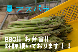 アスパラガスの商品一覧｜通販・お取り寄せ・販売【ぐるすぐり】