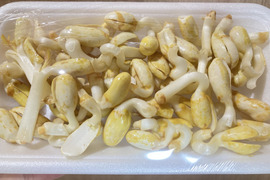 お得な訳あり品⭐︎ピーナッツもやし 400g