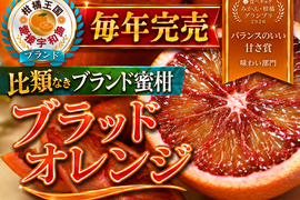 【食べチョクグランプリ受賞】滅多にお目にかかれない『幻の生ブラッドオレンジ』国産やみつきリピーター続出🍊傾斜35度の崖上で収穫される希少な宇和島ブランドみかん☆お試し約1kg【2月中旬予約】