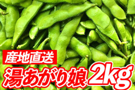 風味豊かな枝豆！宮崎県産『湯あがり娘2kg』200g×10袋