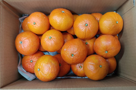 紅ばえ　家庭用Ａ・Ｂミックス　2Ｋ