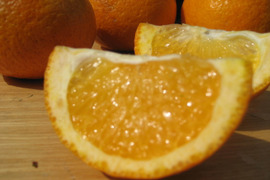 【えひめ・しまなみの島あまなつ】瀬戸内海よりお届け！いまが旬の木なり甘夏みかん５㎏【約１５～２０個・サイズ混合・ご家庭用】程よい甘みと爽やかな酸味が魅力の柑橘です！