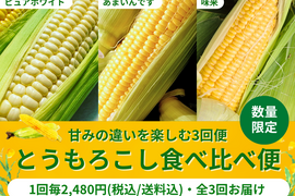 【限定300セット】とうもろこし食べ比べ便（食べチョク公式）