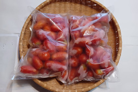 冷凍トマト『イタリアントマトミックス』　🍅！1.6㎏　6セット限り🙇