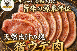 【ホームパーティーの伝説に】これどこの肉?!と歓声が上がる主役の座🍖猪ウデ肉🍖小田原貴族ブランド大容量約パッケージ約400g