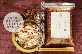 2024年産　色とりどり！みっくす米（480ｇ×２袋）