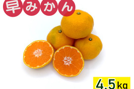 秋が旬！『早みかん』【4.5kg】
