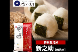 【令和6年産】きらめく大粒！『特別栽培米新之助【無洗米】』5kg×1袋