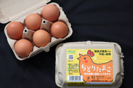 【富山県のお米&酒粕で育った鶏が自慢です！】「ちどりたまご」赤玉6個入×1パック&「ひら飼い 米寿の卵」 白玉6個入×2パック・赤玉6個入×1パック (合計24玉)