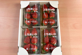 ⚠️説明必読⚠️『加工用とちあいか』フレーズのこだわりいちご260g×4パック