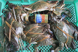 ワタリガニ オスメス混合中〜特大サイズ混合 ２ｋｇ 片爪 爪無の訳あり品 がさみ　ガサミ　渡り蟹 わたりがに 生蟹 生カニ 活カニ 活蟹 ケジャン松島牡蠣屋 雄
